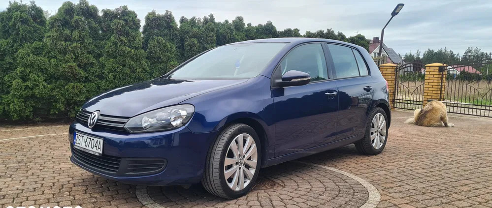 volkswagen Volkswagen Golf cena 27999 przebieg: 176000, rok produkcji 2010 z Kolbuszowa